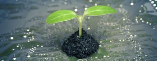 Company Growth Ortecha