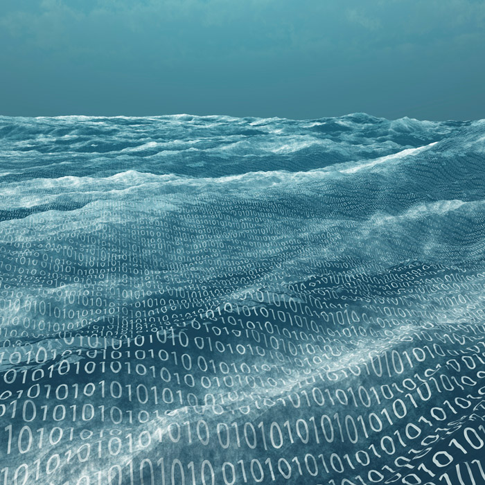 Data Sea Consulting and Advisory Services