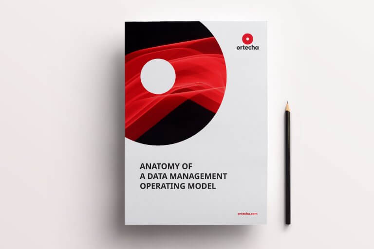 Data Leadership Series - Anatomy of data management operating model - Ortecha Insights