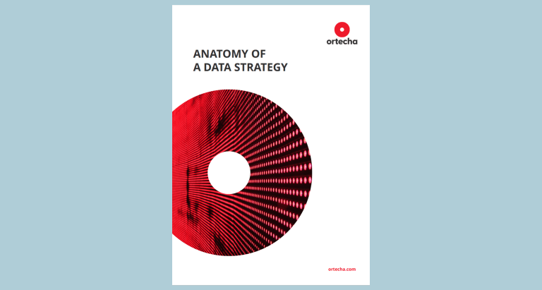 Anatomy of a Data Strategy Guide - Ortecha Insights