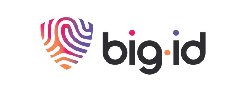 BigID Logo - Ortecha Technology Partners